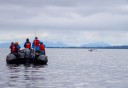 Photo of people with whale